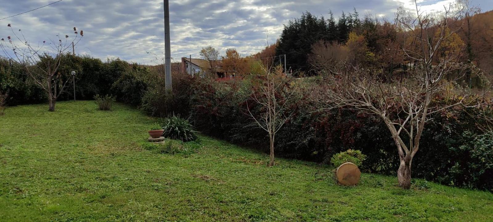 坎波巴索Pia'S House Garden公寓 外观 照片